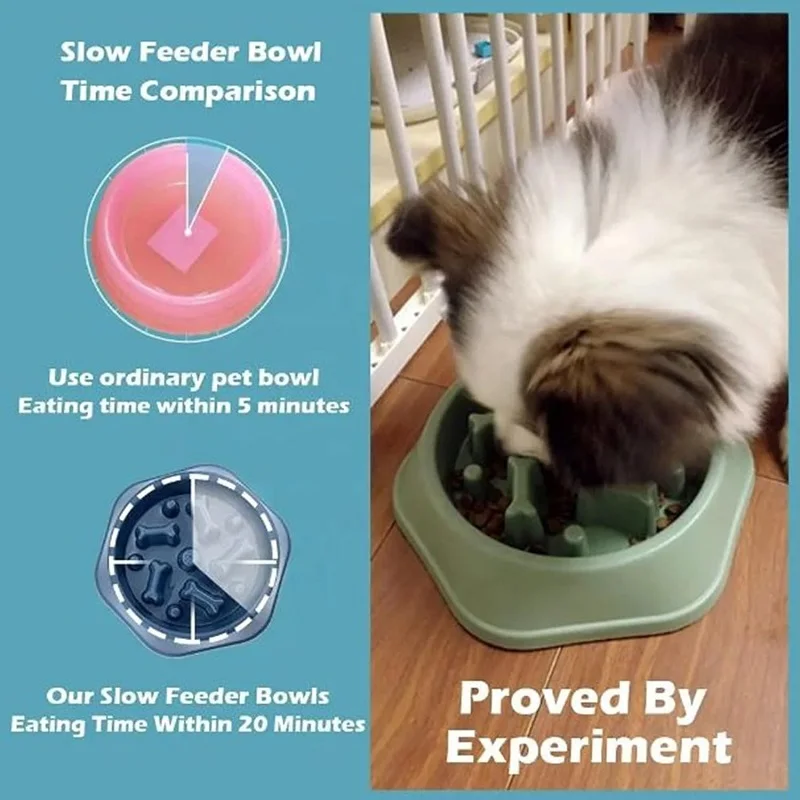 Slow Feeder Dog Bowl Non Slip  - Royal Canin Food Medium review and price